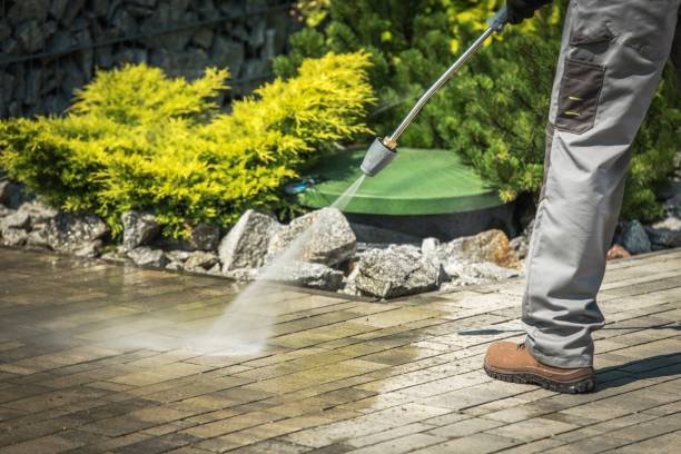 Best Driveway Pressure Washing  in Oronoco, MN