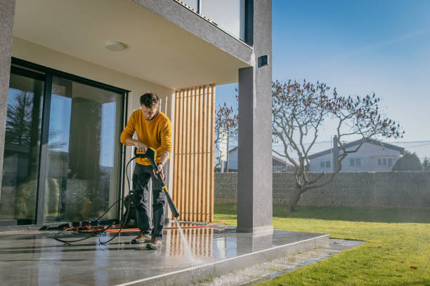 Best Gutter Cleaning  in Oronoco, MN