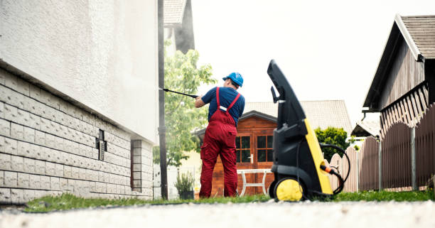 Best Roof Washing  in Oronoco, MN